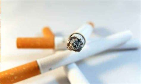bianca sigara nikotin